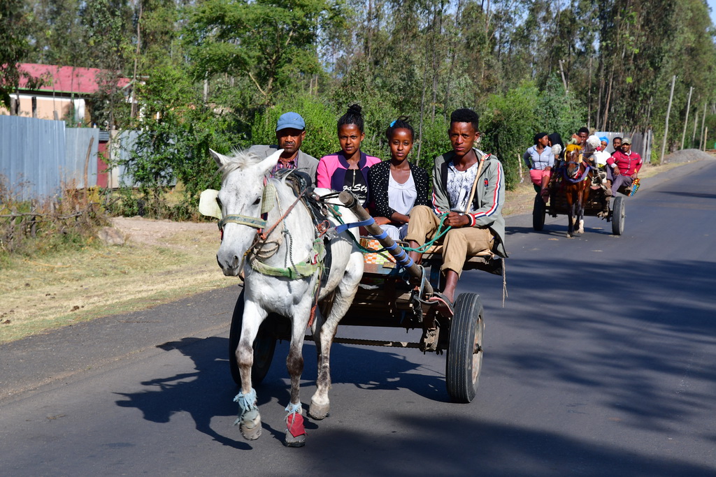 Addis to Weliso